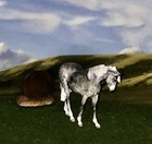 OOAK Like Breyer cm Custom Horse Micro Mini Model Resin *Shay*Beautiful Gray TB* — photo 4