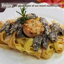Wild Dried Morel Mushrooms - Whole Morchella Premium Grade Multi-Pack Selection