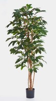 Artplants KüNstlicher Kaffeebaum Moka, 675 BläTter, GrüN, 210Cm