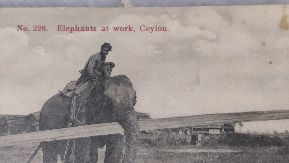 1914 Ceylon No.226 Elephants at Work, King Edward 6c Red Stamp Postcard to Auz - Image 3 of 4