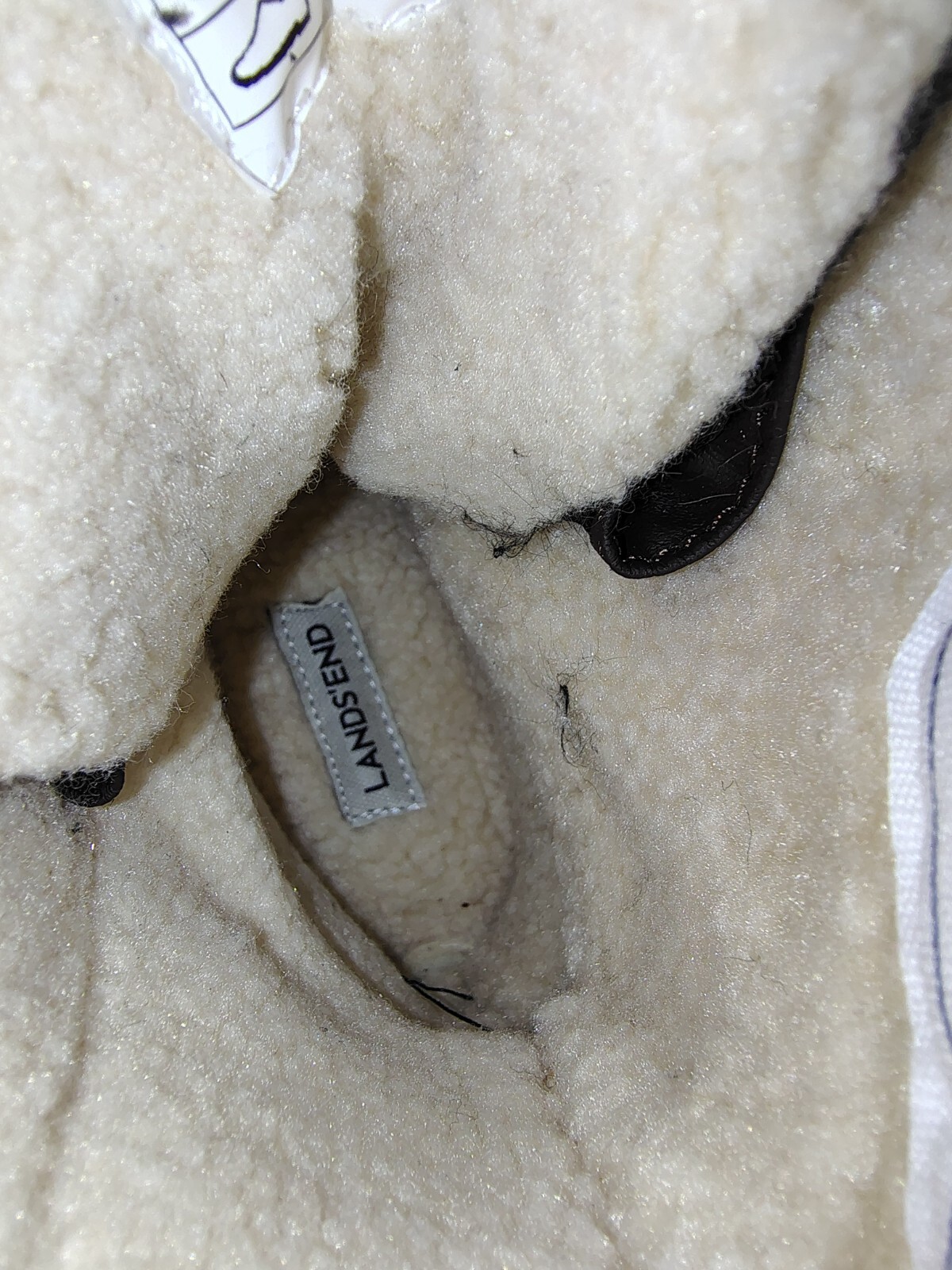 Picture 6 of 12