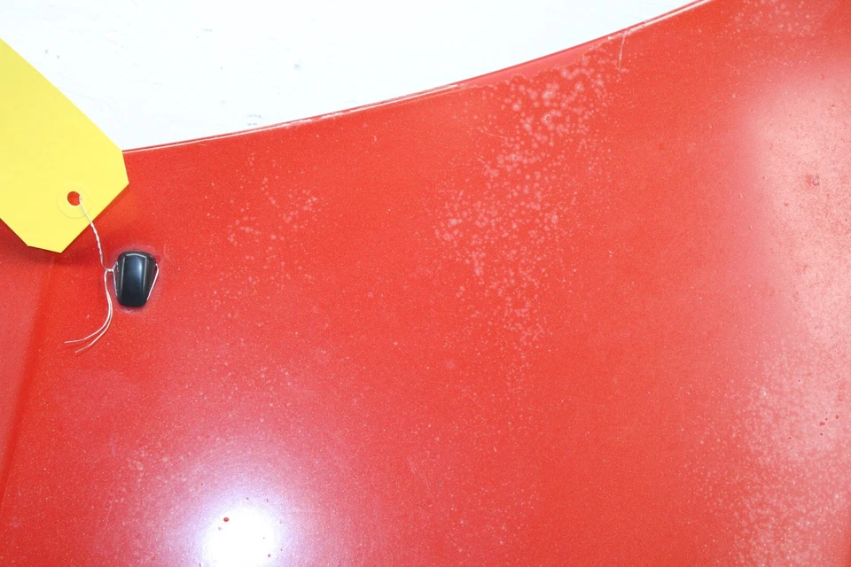 Toyota MR2 Spyder Hood 2000-2005 OEM **solo camioneta local** GS32 Foto 3 de 4