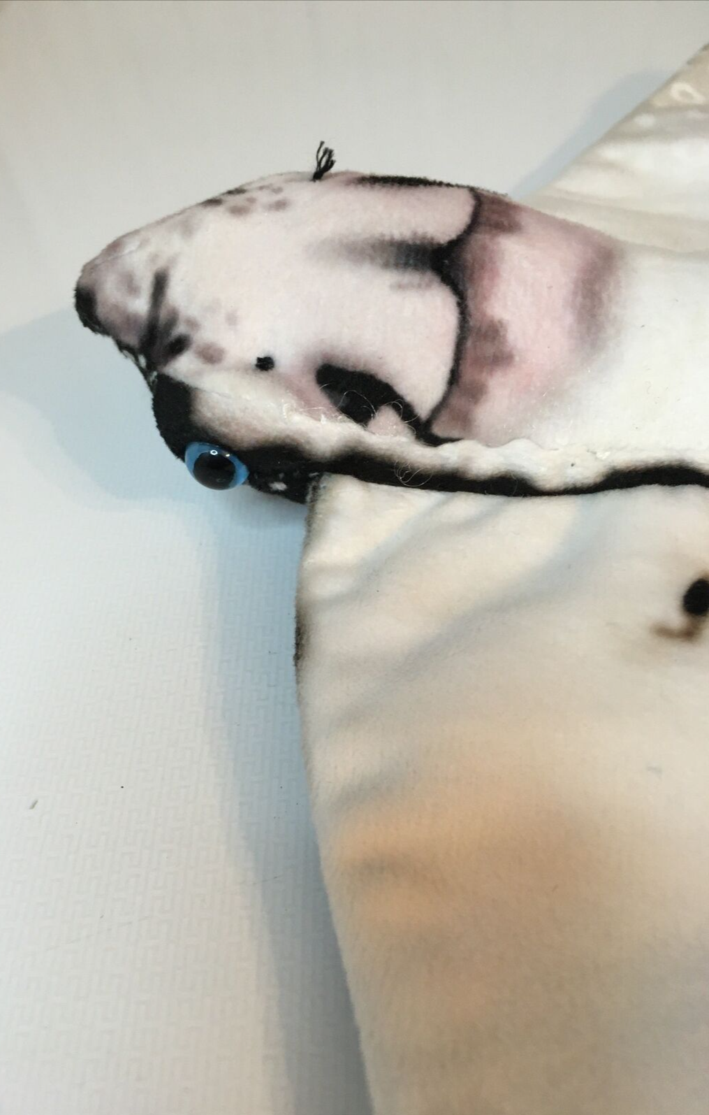 Foto 5 di 8