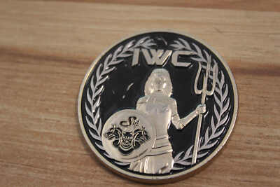 Carrier Strike Group Eight Information Warfare Commander Challenge Coin