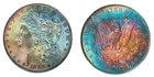 1886-P NGC MS64 MORGAN $ - VIBRANT COLORFUL- RAINBOW TONED (VIDEO)