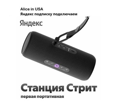 Yandex Station STREET/Яндекс станция СТРИТ