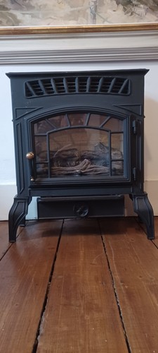 Burley Esteem G4220 Natural Gas Fire - Picture 1 of 2