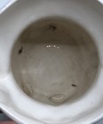 Picture 16 of 23