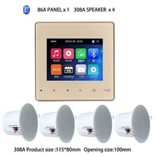 Mini Wall Amplifier Bluetooth Smart Sound System Theater Stereo Ceiling Speaker