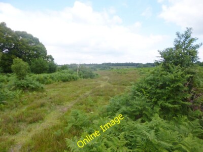 Foto 6x4 Eyeworth, Heidelandschaft Fritham Blick Richtung Tontrubenboden. c2014