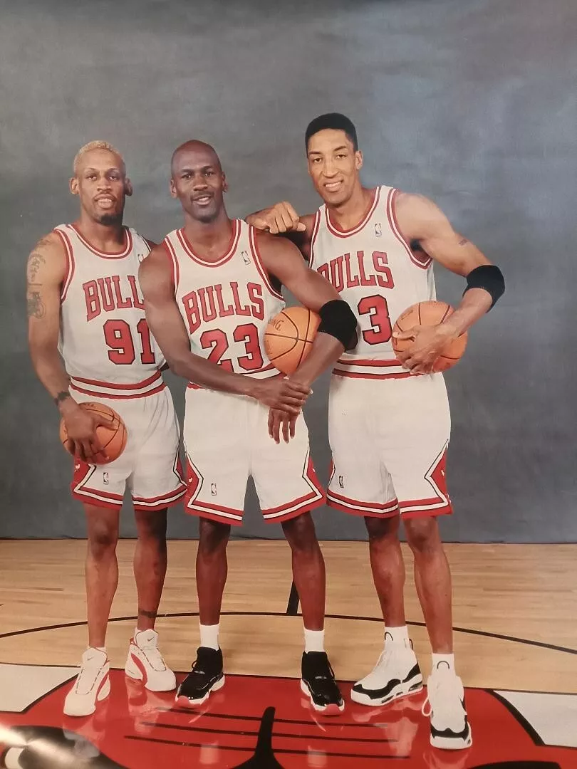 Dennis rodman shop and jordan