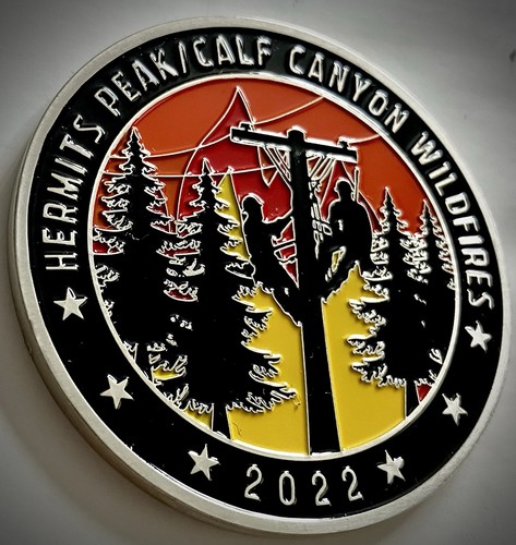 Hermits Peak California Canyon Wildfires Challenge Coin- Miguel Electric-Bronze - Picture 2 of 6