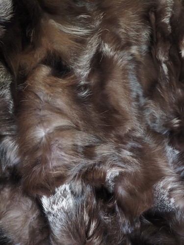 Fox Fur Throw - GENUINE SILVER FOX - BEAUTIFUL & NATURAL - 1800mm x 1600mm - Picture 4 of 12