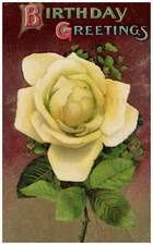 Antique Birthday Greetings Yellow Rose Gelatin Finish 1912 Postcard Posted
