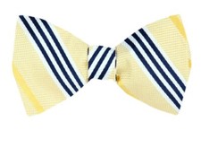 Men's 100 Silk Designer Self Tie Striped Woven Bowtie- NWT