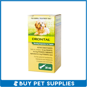 bayer drontal puppy