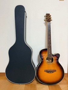 Barclay Guitar | eBay