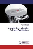 Muzzaffar Ahmad Mir (U. A.) | Introduction To Zeolite-Polymer Applications