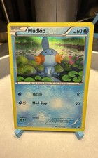 Mudkip XY38 XY Holo on eBay