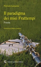 Mario Caligiuri Floriano Lam Il paradigma dei miei fratt (Paperback) (UK IMPORT)