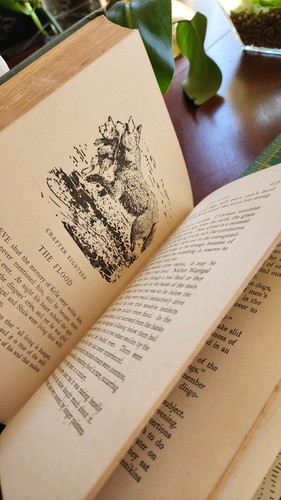 Wild Brother book by Mary Patchett, Illustrated by John Rose, 1954 1st Ed HC - Picture 10 of 11