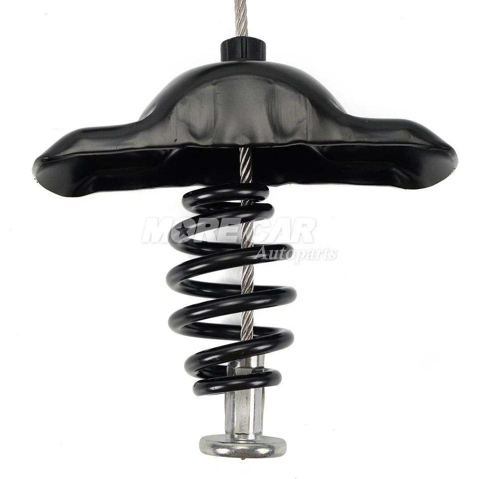 Soporte de polipasto de neumático de repuesto para 99-18 Chevrolet Silverado 1500 GMC Sierra 2500 3500 Foto 3 de 4