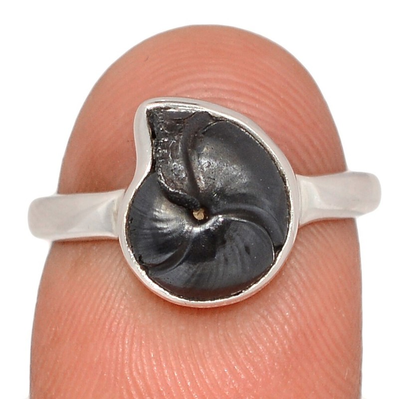 Fossil Pyrite Ammonite 925 Sterling Silver Ring Jewelry s.7 CR70318