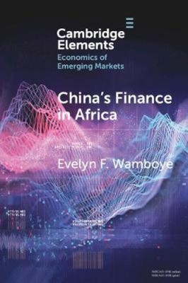 China's Finance in Africa: What and How Much? (Elements in the Economics of