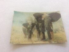 La Roche Aux Fees Lenticular Animaux Sauvages Card France #22 ELEPHANT