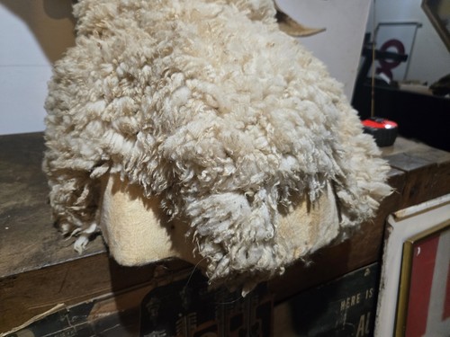 Vintage Ram Sheep Shoulder Mount Taxidermy Log Cabin Bar Decor  - Imagen 20 de 20
