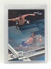 2017 Topps WWE Then Now Forever Wrestling Cards 17