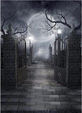 Halloween Backdrop Vinyl Photo Background Halloween Photography Backdrop 8X10 FT