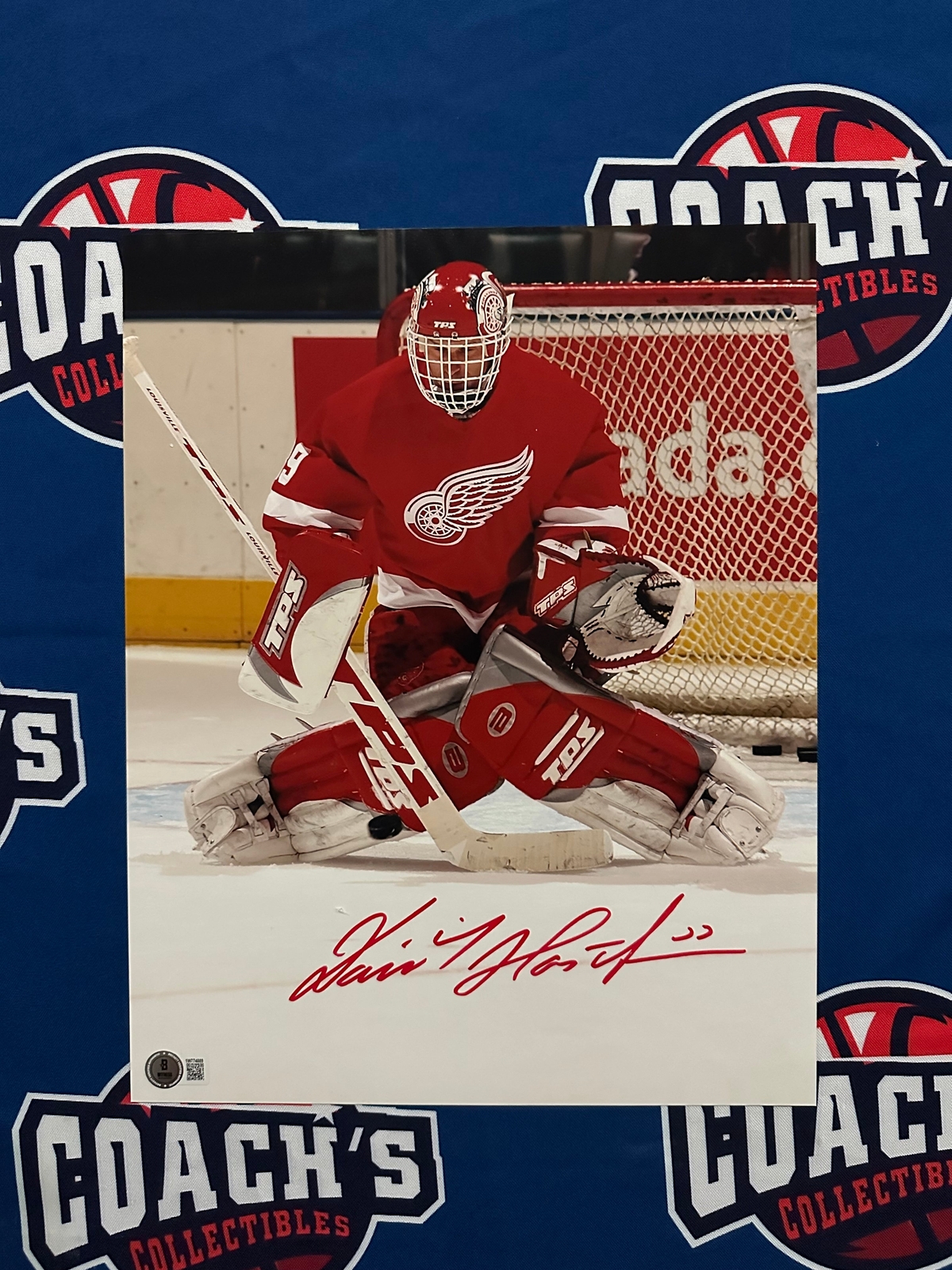 その他 NHL Dominik Hasek game used emblem NHL Dominik Hasek game used emblem