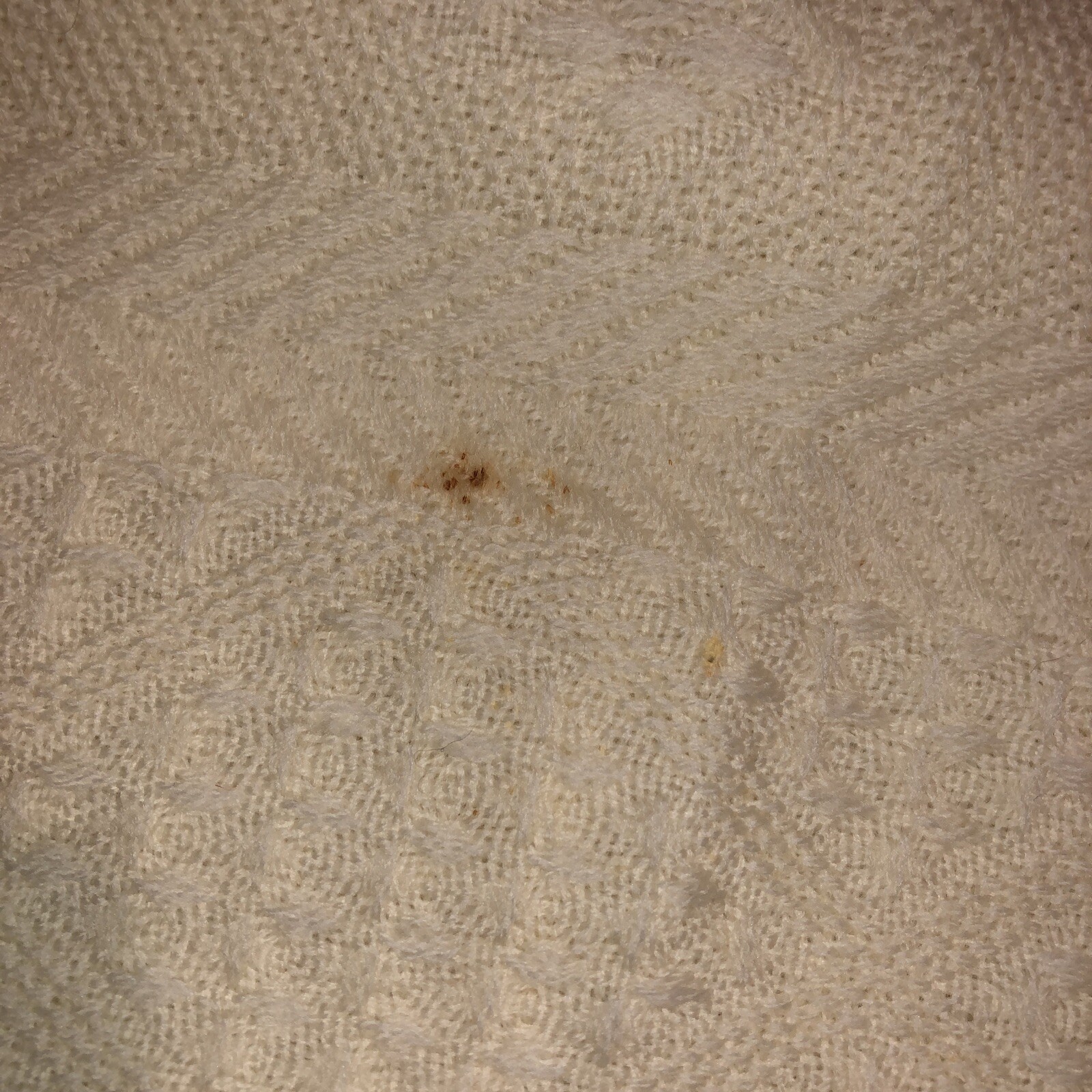 Picture 6 of 6