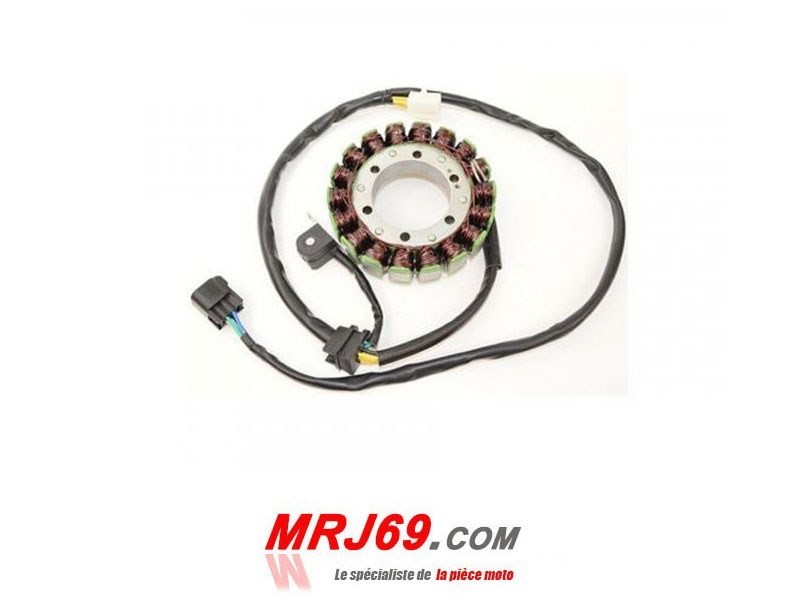 Stator alternateur Electrosport Suzuki DR 650 SE 1996-2000 - Qualité supérieure d'allumage