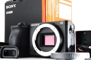 Sony 6600 Camera | eBay