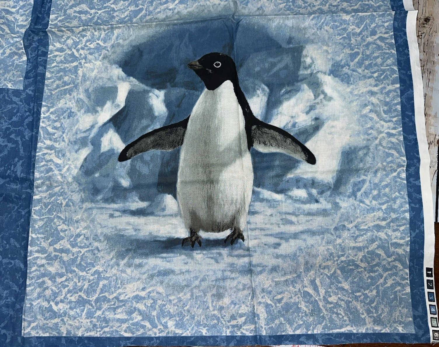 Picture 16 of 24