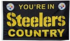 Pittsburgh Steelers Collecting and Fan Guide 20