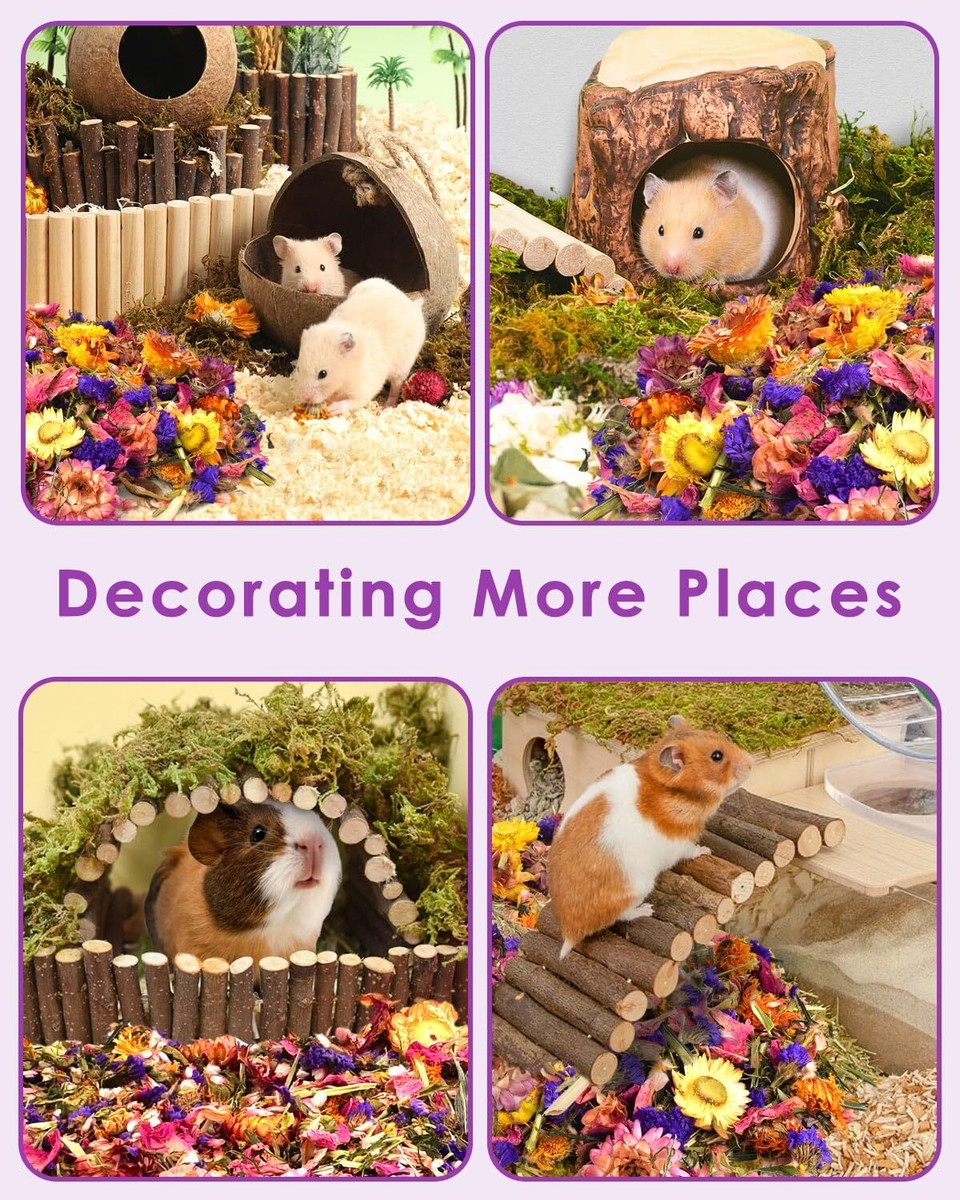 Hamster Sand Bath Bissap Natural Flower 300g Dried Floral Mix