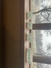 Pyrex Blue Amish Butter Print #501 #441 #43