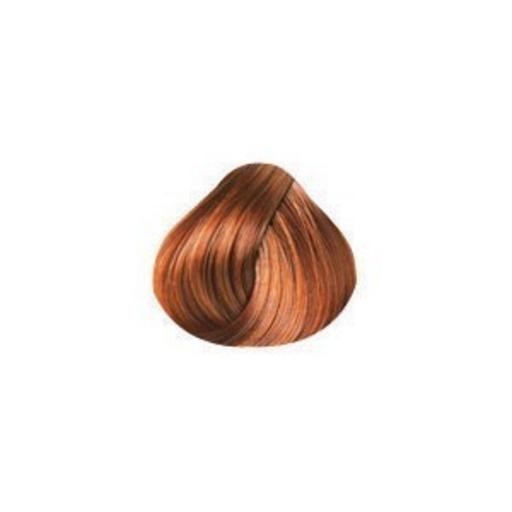Pravana CHROMASILK 7.45 (7Cm) Copper Mahoga | eBay