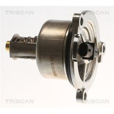 Thermostat Porsche 911