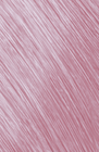 Bild 86 von 100
