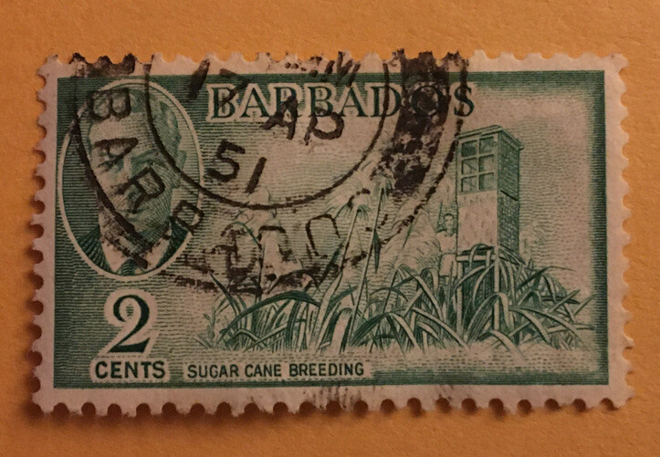 Barbados stamp of Sugar Cane Breeding.  SC# 217. Used.