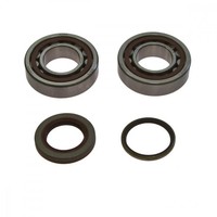 Kurbelwellenlager Satz All Balls Mit Simmerringen 24-1105 FüR Gas Gas EC 125 201