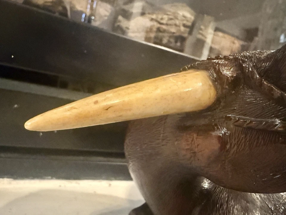 Outstanding 19th C Chinese Hand-Carved RARE Antique Rosewood Sculpture  - Image 3 of 4