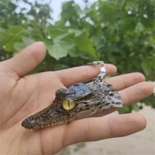 1 PC real crocodile head specimen keychain car keychain accessory gift