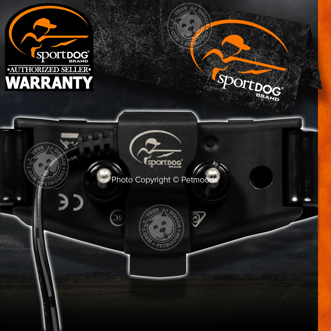 SportDOG SBCR NoBark Rechargeable Collar Stop Dog Barking eBay