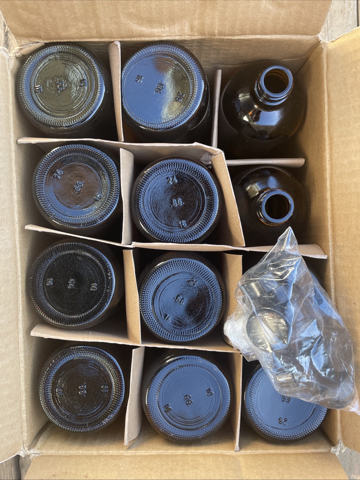 W/ Black Cone Lined Caps Case Of 12
