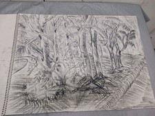 Student Art Studies Pencil Or Charcoal Sketche The Woods  18"X 24" 